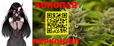 мдпв Жуковский
